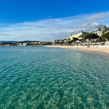 Prime Location Hyper Center Ideal For Couples & Families - Walk Everywhere -by Totolulucannes Apartment *