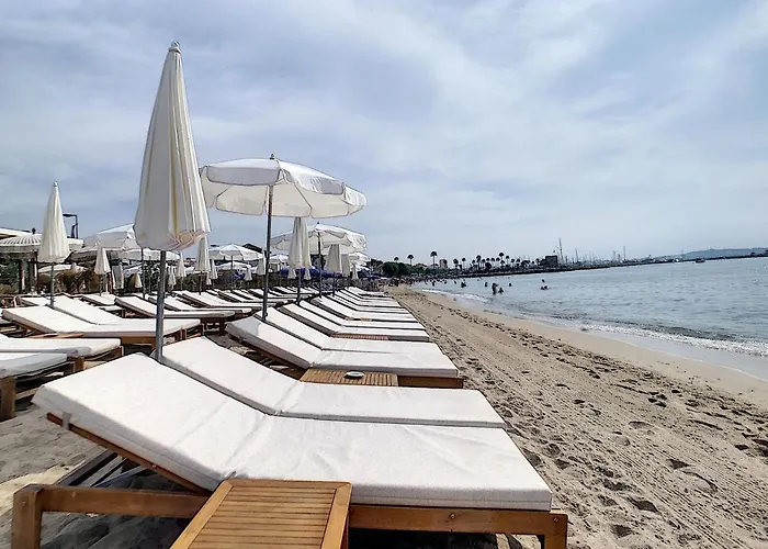 Prime Location Hyper Center Ideal For Couples & Families - Walk Everywhere -By Totolulucannes Daire *