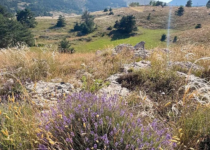 Prime Location Hyper Center Ideal For Couples & Families - Walk Everywhere -By Totolulucannes